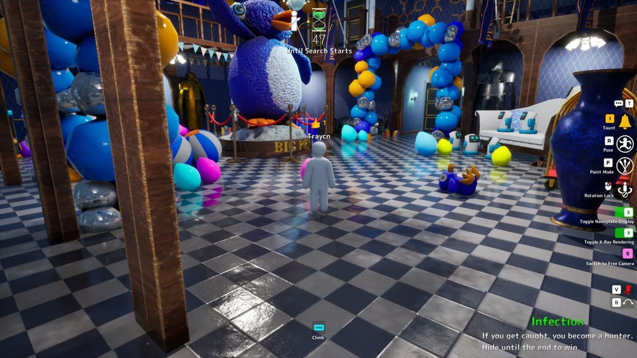 Ballroom Blue Trim